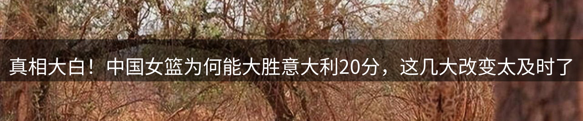 最新资讯